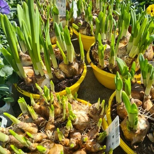 481201468_1132138908712121_5941581097821523520_n