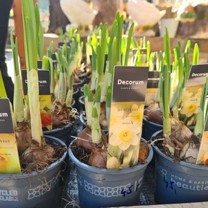 481226943_1132162425376436_3090034672107828490_n