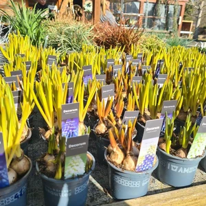 482088583_1132138695378809_5058020722237434643_n